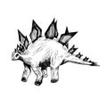 Stegosaurus, hand drawn black and white doodle sketch